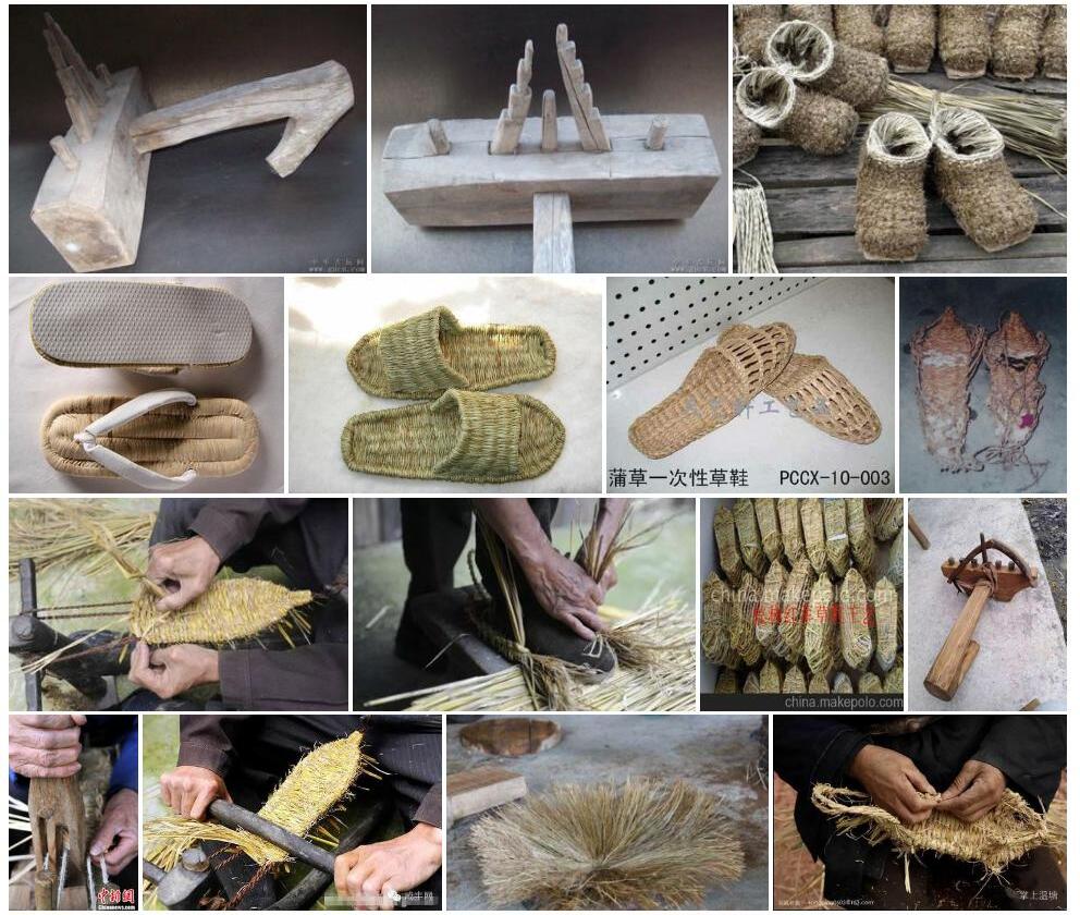 草鞋木照片和图片/