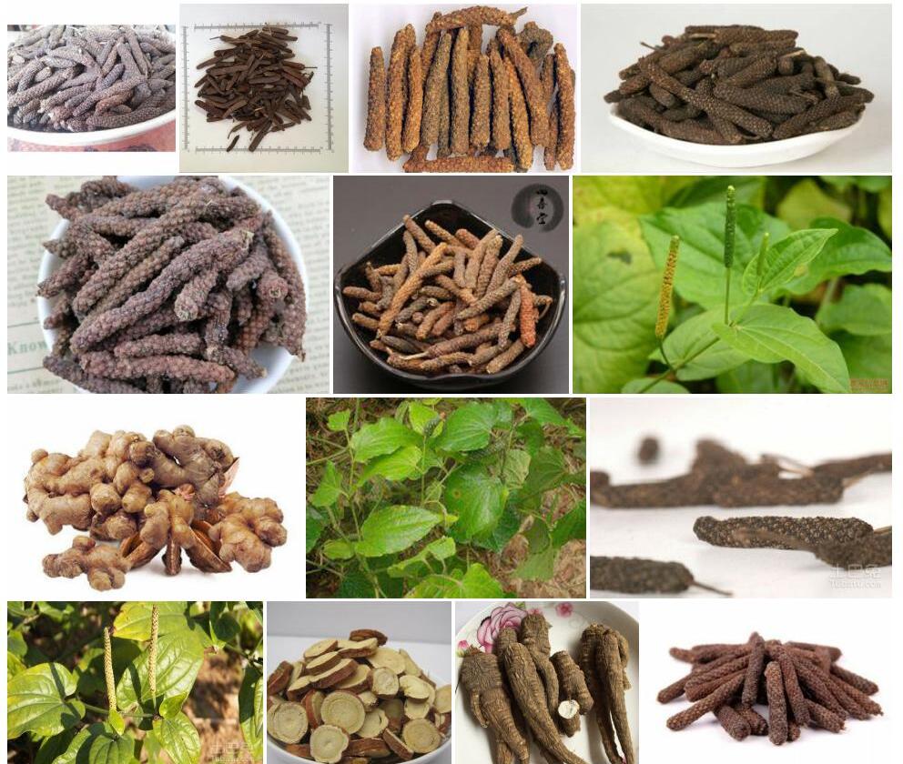 荜拔照片和图片/