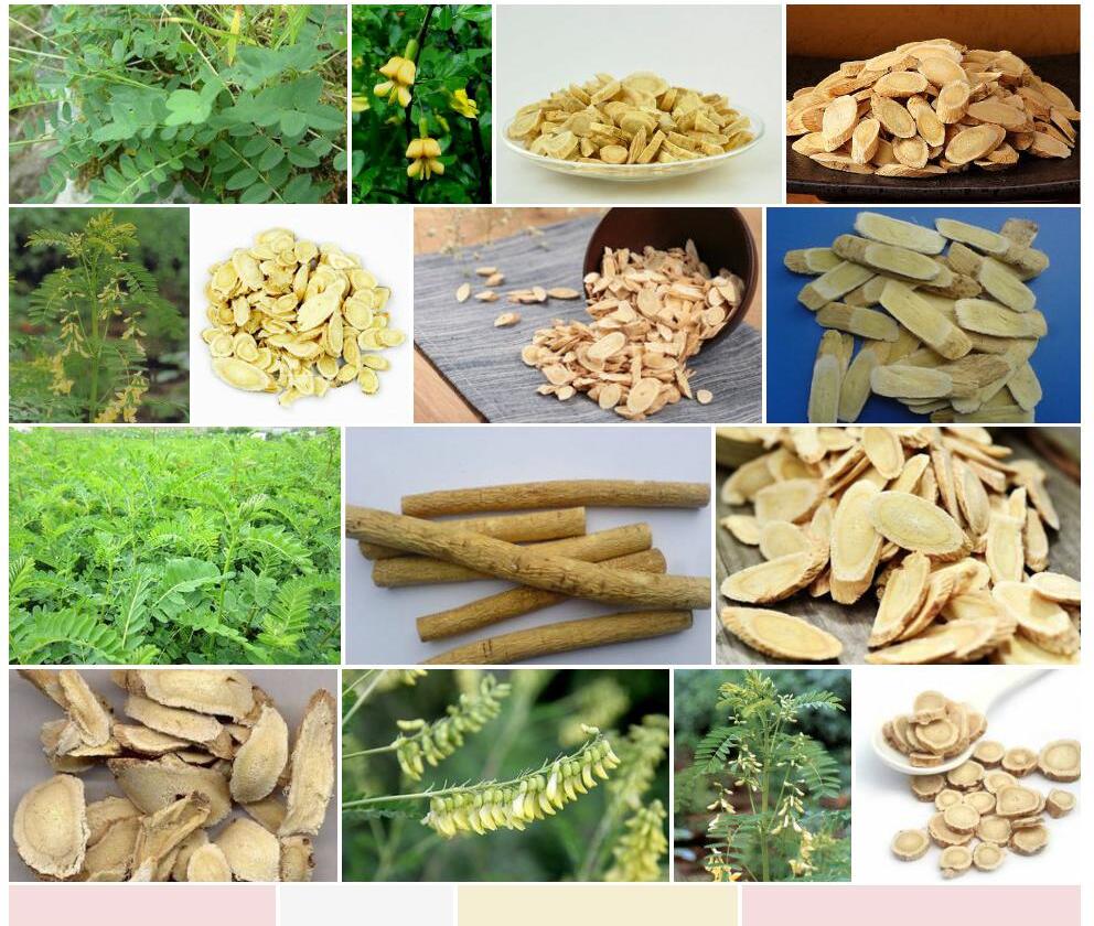 莲山黄耆照片和图片/