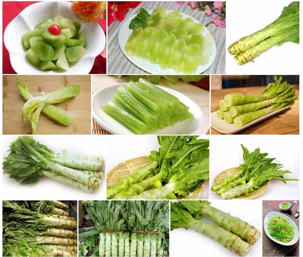 莴笋照片和图片/