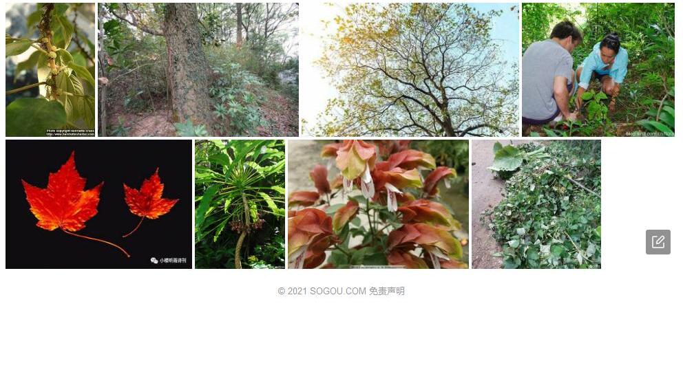 落尾木照片和图片/