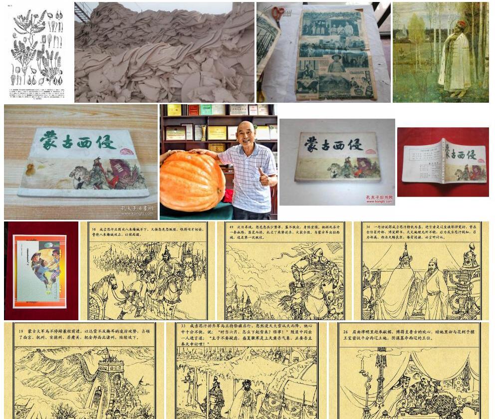 蒙西黄耆照片和图片/