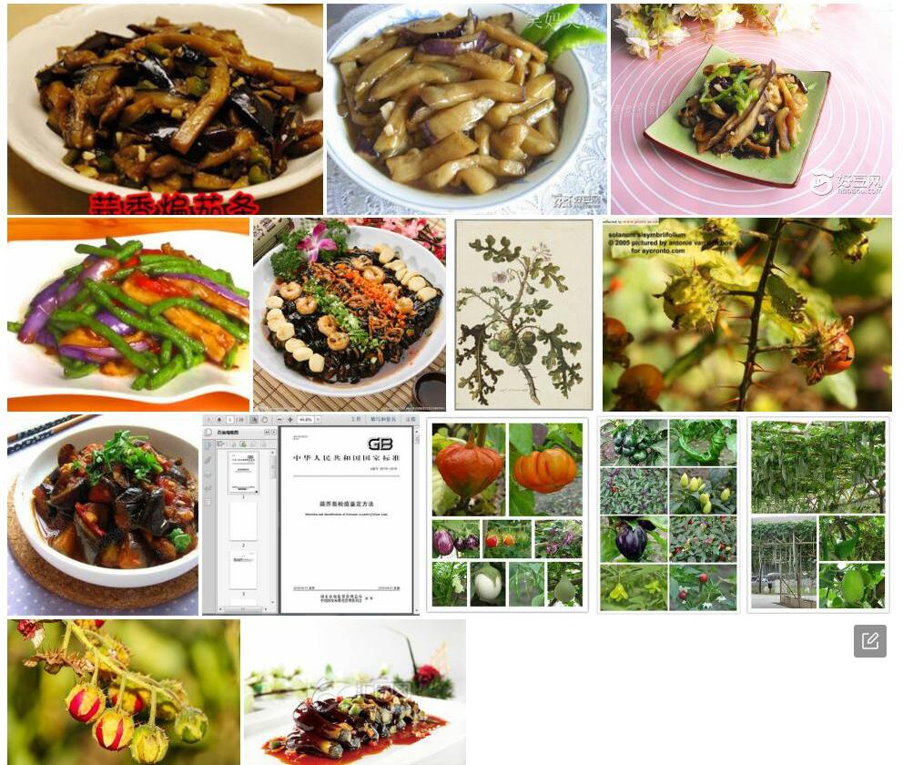 蒜芥茄照片和图片/