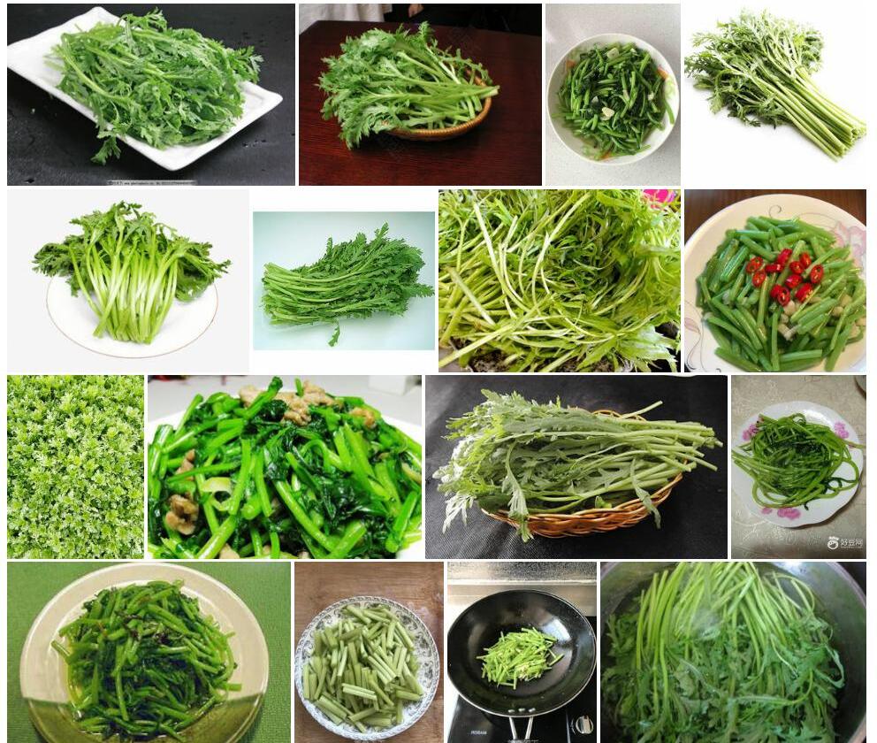 蒿子杆照片和图片/