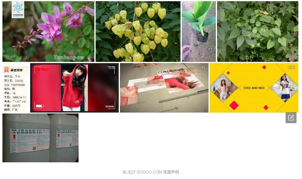 蓝子木照片和图片/