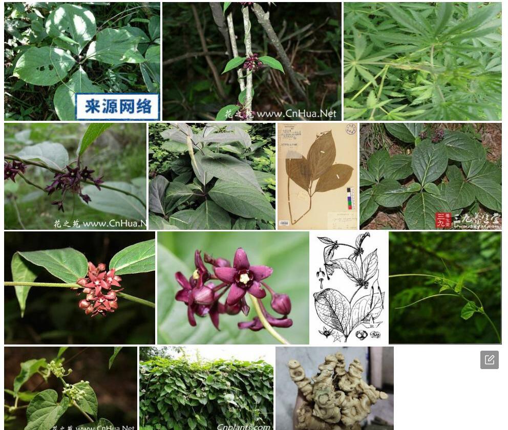 蔓剪草照片和图片/