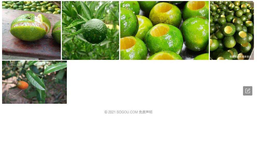 薄叶山柑照片和图片/