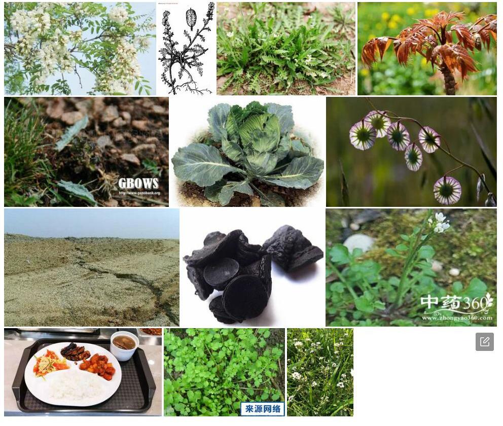 藏荠照片和图片/