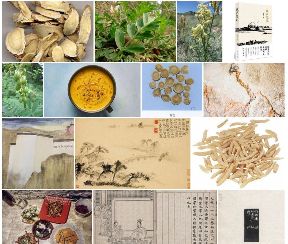 藏西黄耆照片和图片/