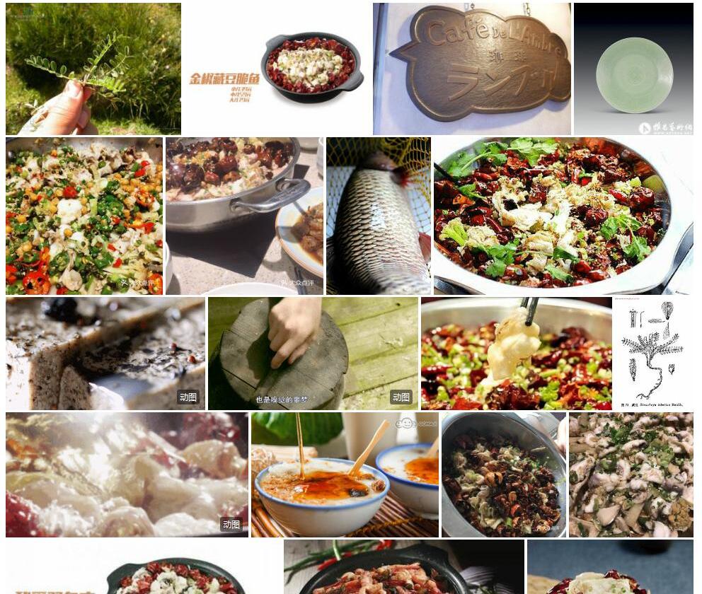 藏豆照片和图片/