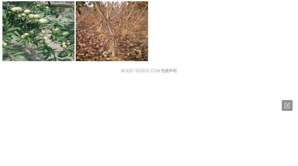 藤香槐照片和图片/