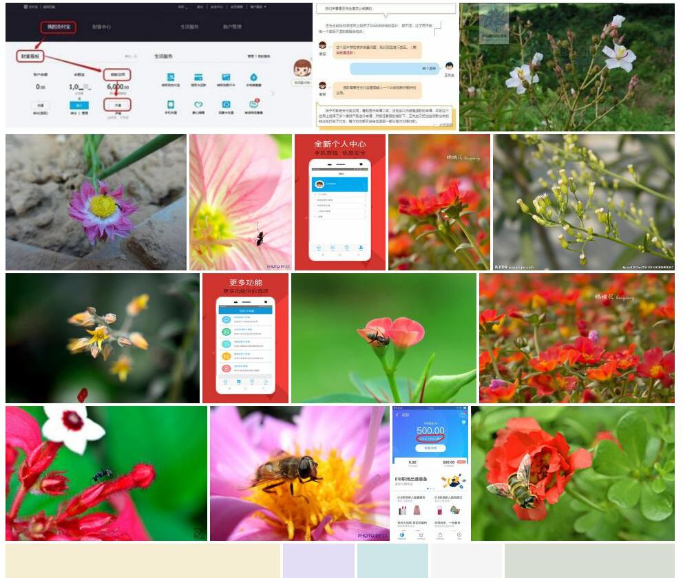 蚂蚁花照片和图片/
