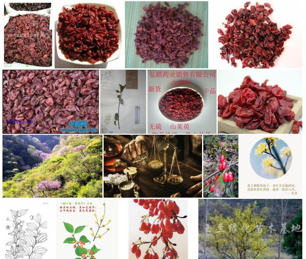 蜀枣照片和图片/