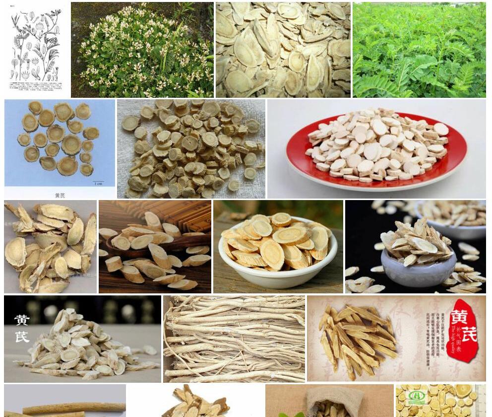 蜀西黄耆照片和图片/