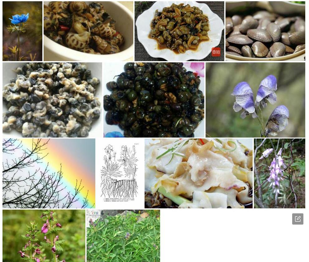 螺瓣乌头照片和图片/
