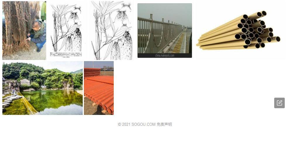 衢县红壳竹照片和图片/