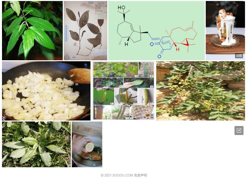 裸果胡椒照片和图片/