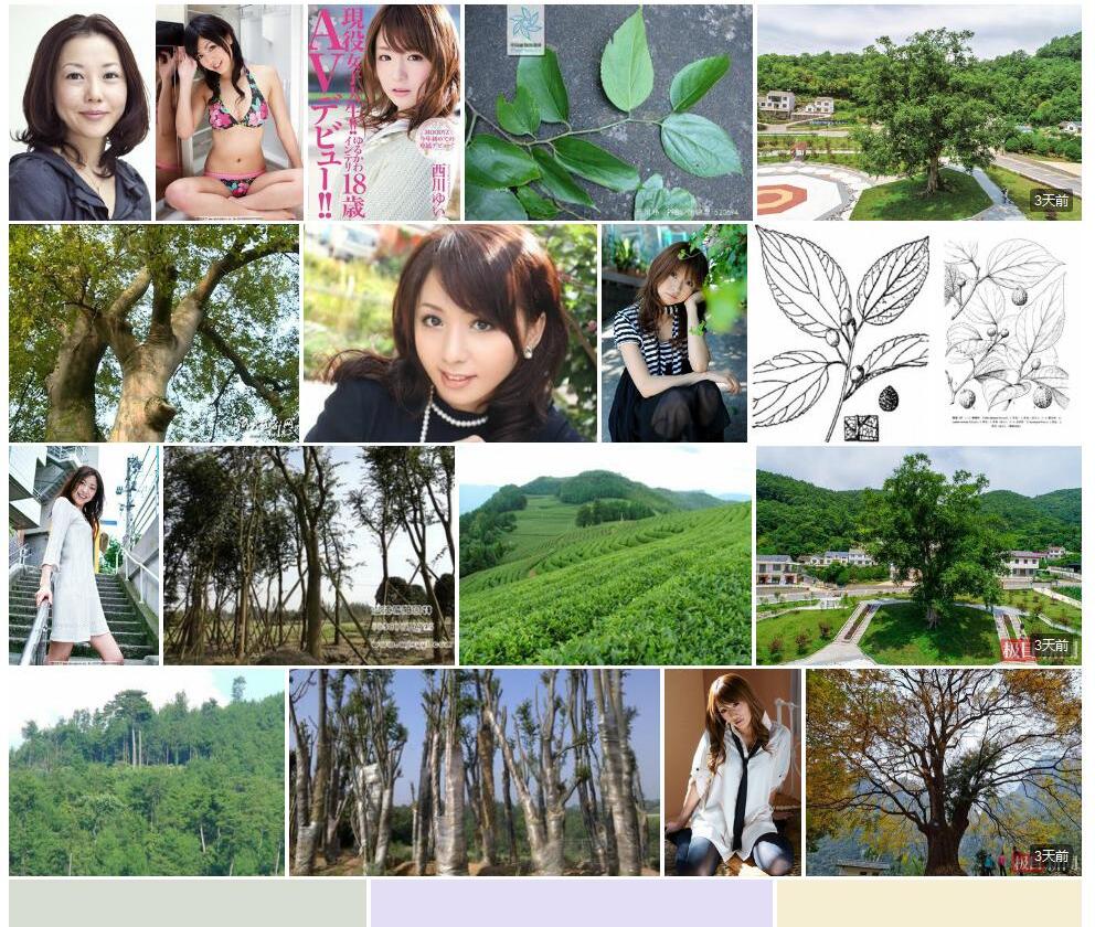 西川朴照片和图片/
