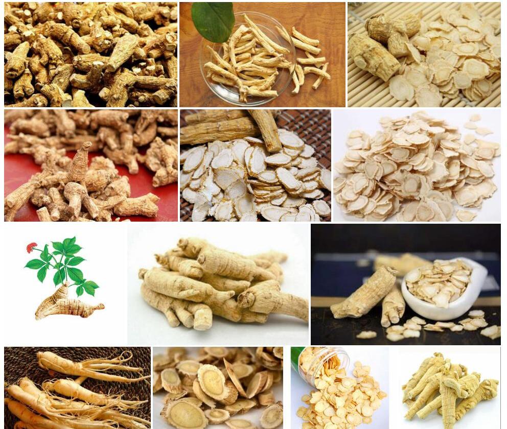 西洋参照片和图片/