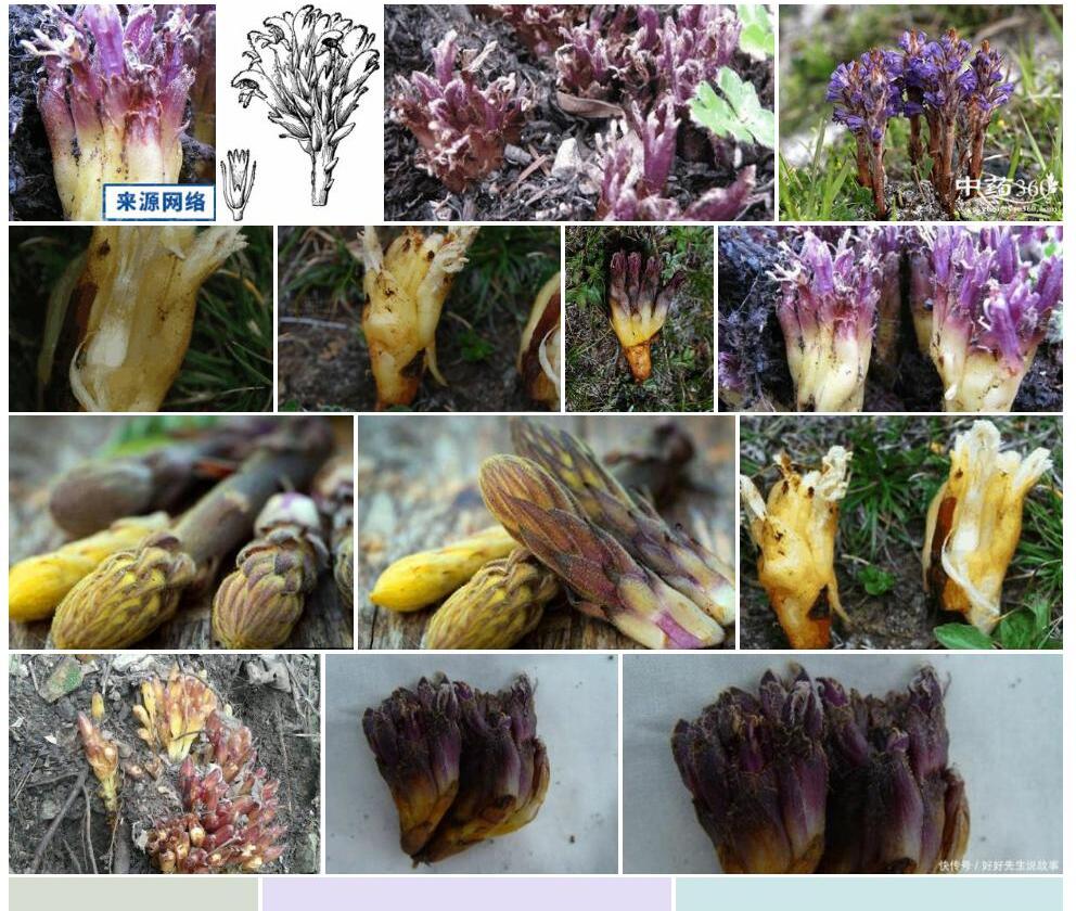 豆列当照片和图片/
