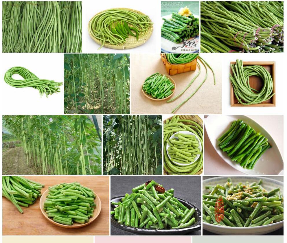 豇豆照片和图片/