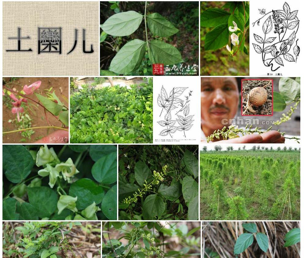 贵州土圞儿照片和图片/