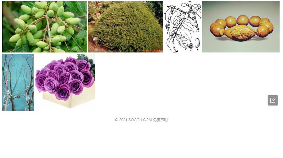 越榄照片和图片/