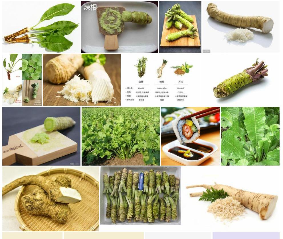 辣根照片和图片/