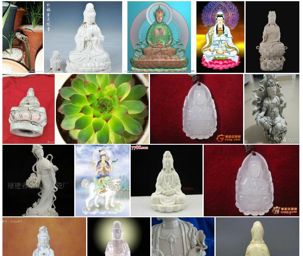透明脉观音座莲照片和图片/