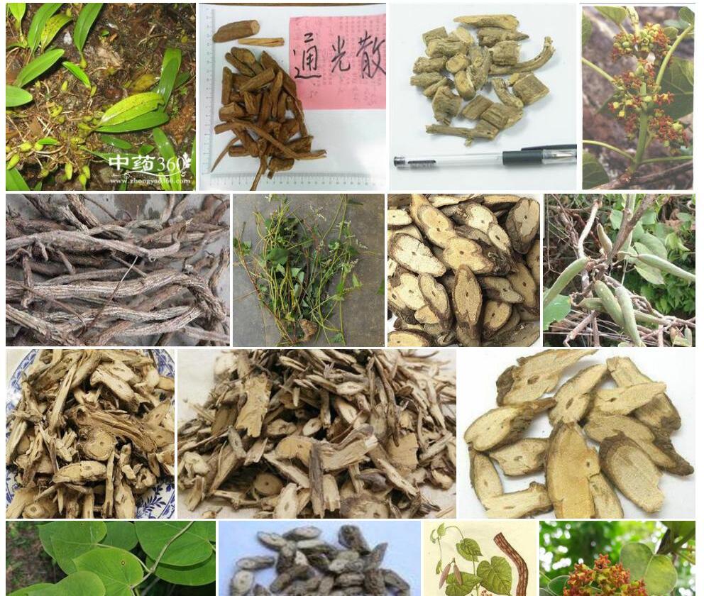 通光散照片和图片/