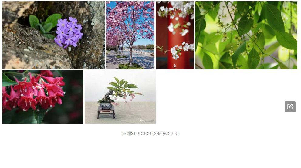 逢春假卫矛照片和图片/