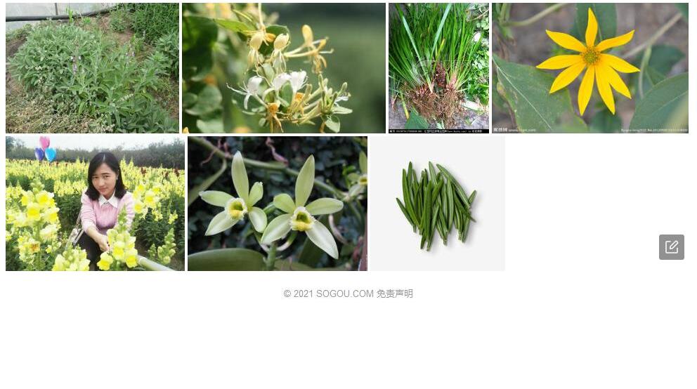 邕宁香草照片和图片/