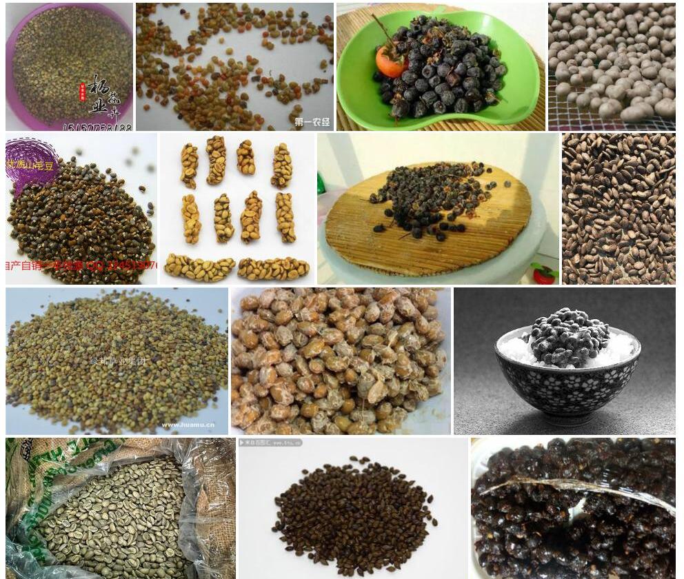 邱北猪屎豆照片和图片/