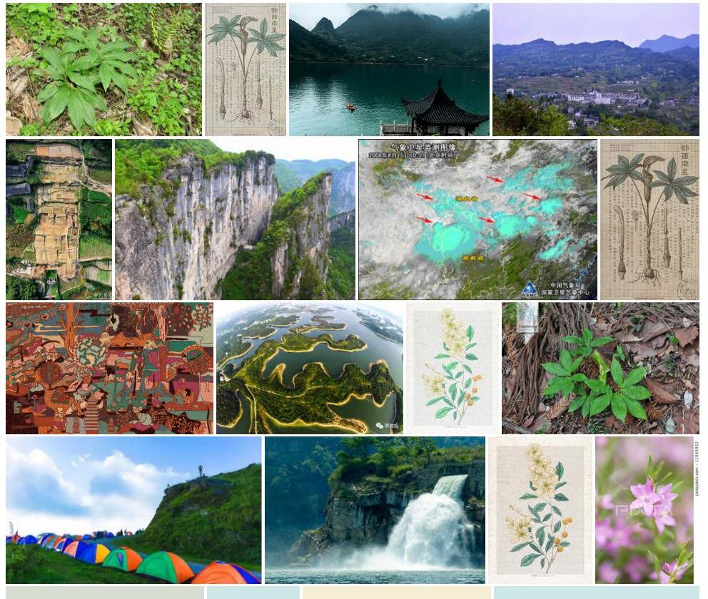 鄂西南星照片和图片/