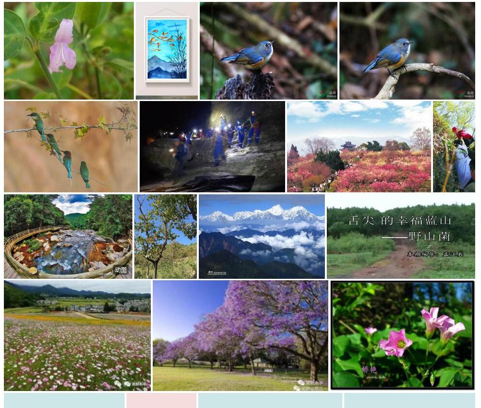 野山蓝照片和图片/