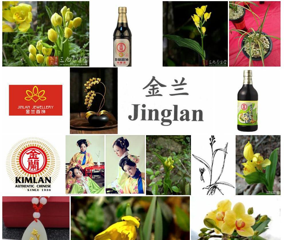 金兰照片和图片/