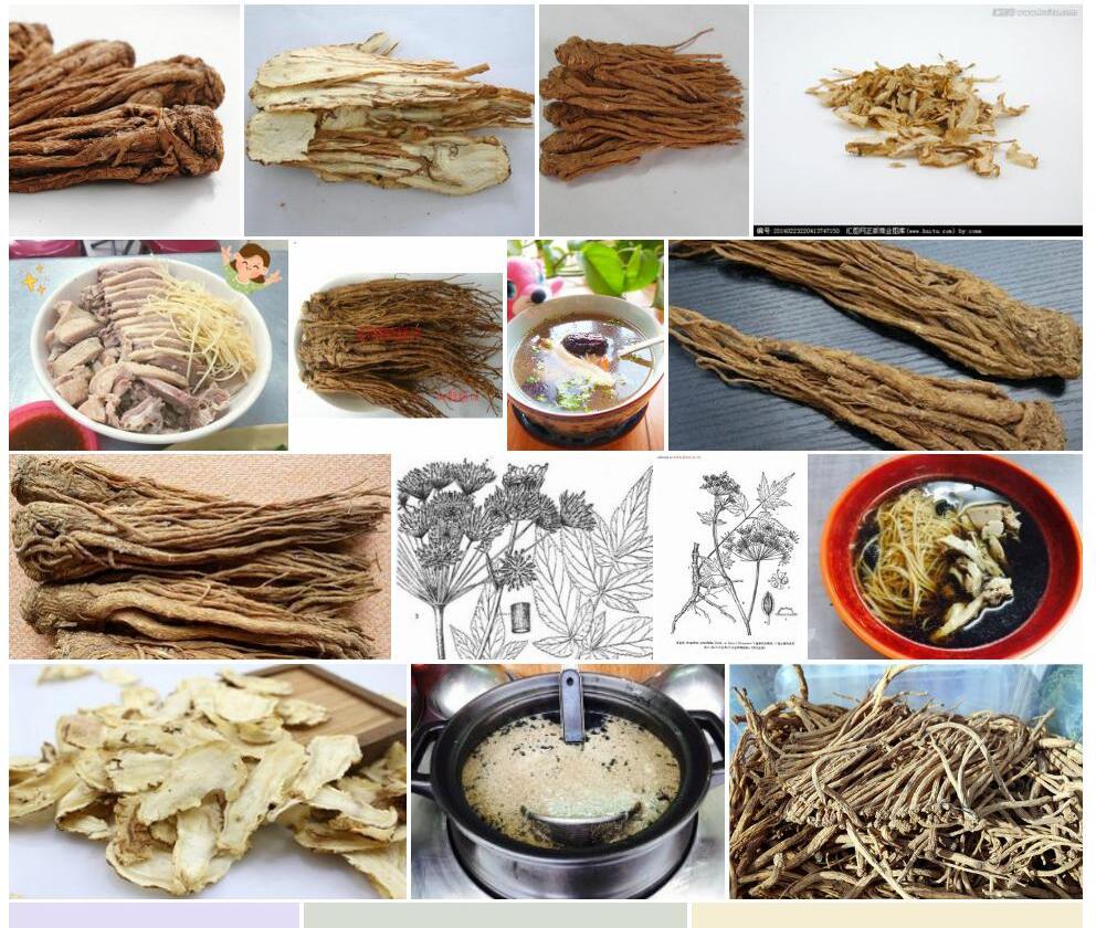 金山当归照片和图片/