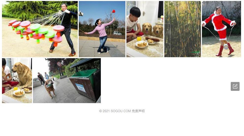 金毛空竹照片和图片/