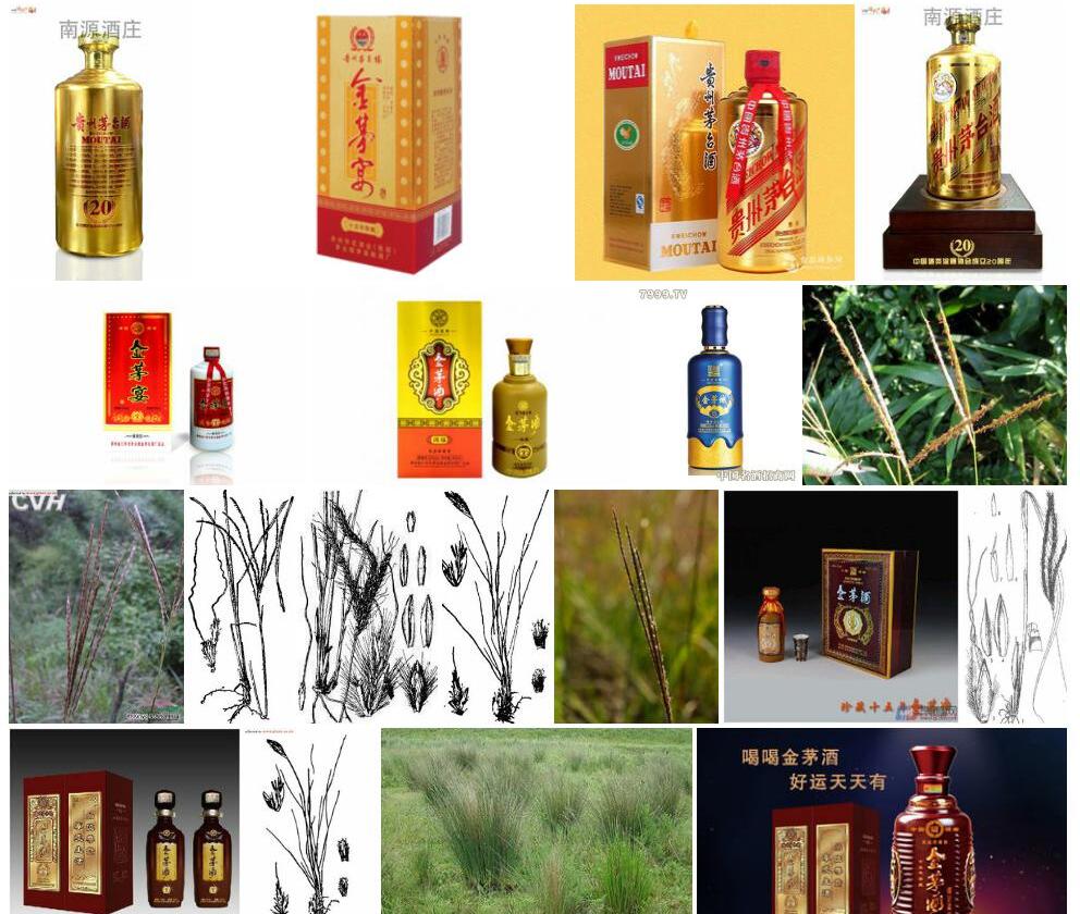 金茅照片和图片/
