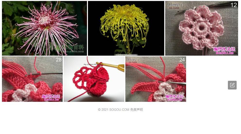 钩瓣乌头照片和图片/