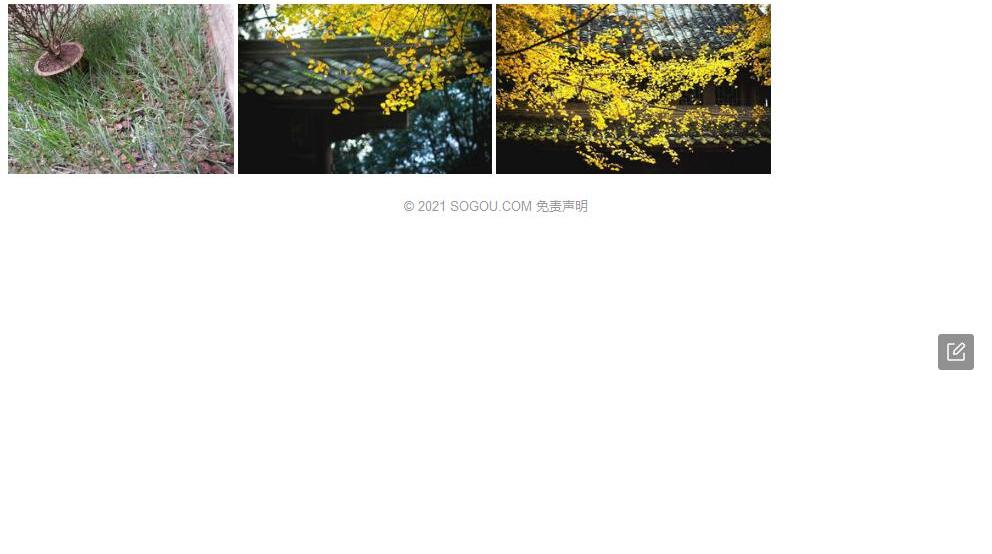铁灵花照片和图片/