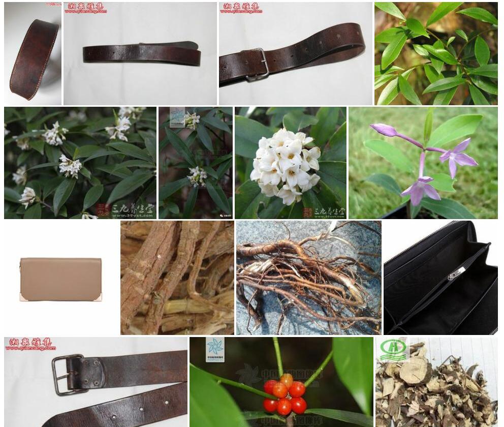 铁牛皮照片和图片/