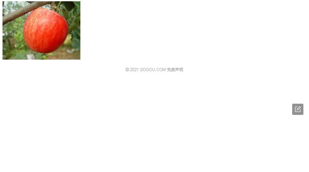 铜川大戟照片和图片/
