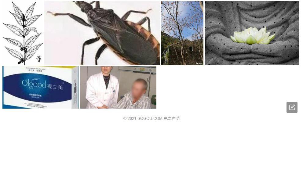 锥花莸照片和图片/