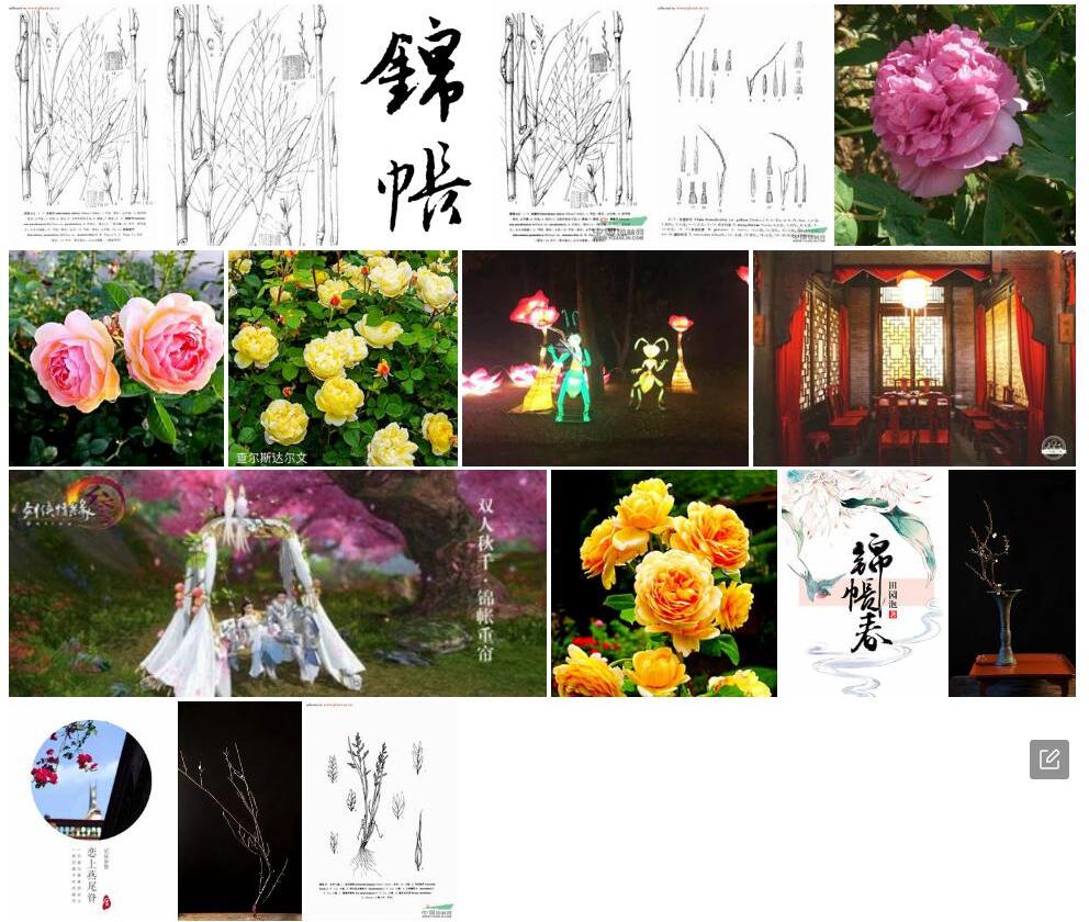 锦帐竹照片和图片/