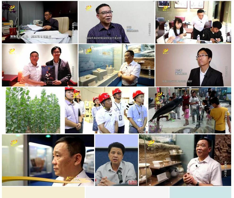 长叶杨照片和图片/