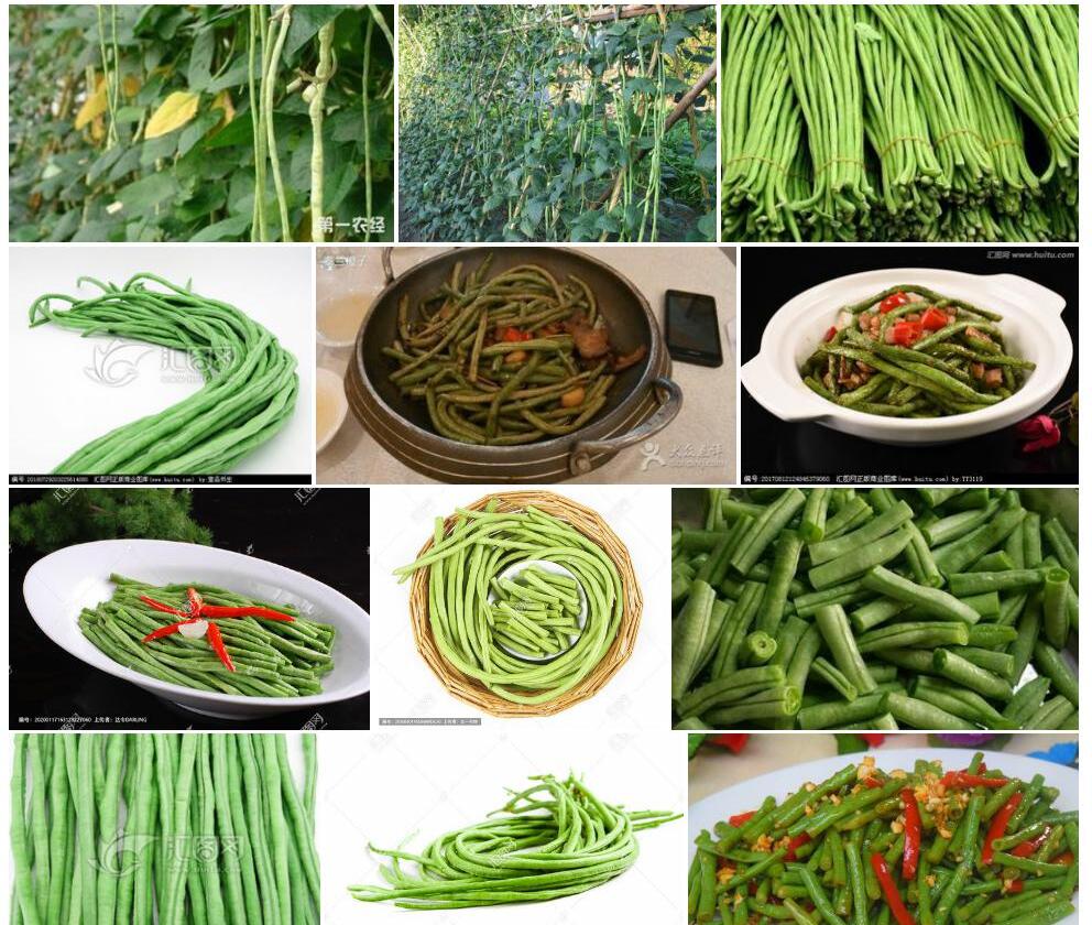 长豇豆照片和图片/