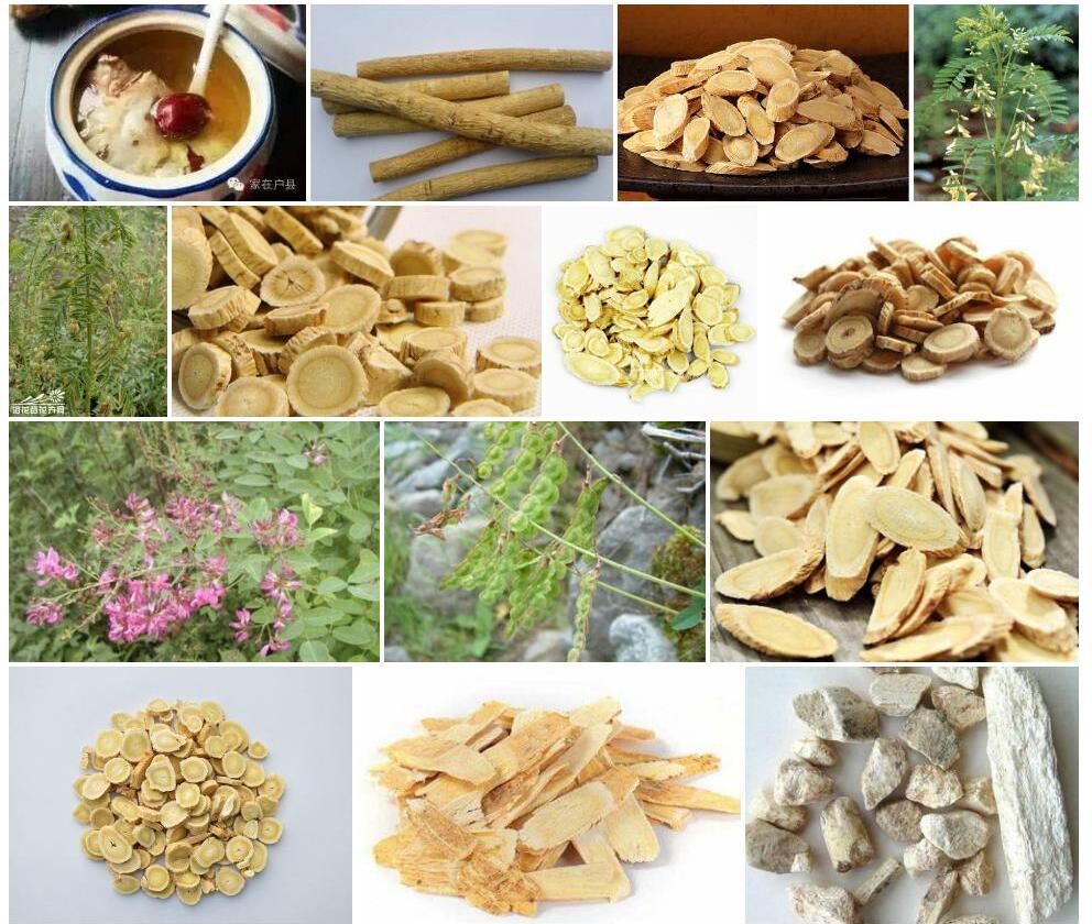 长龙骨黄耆照片和图片/