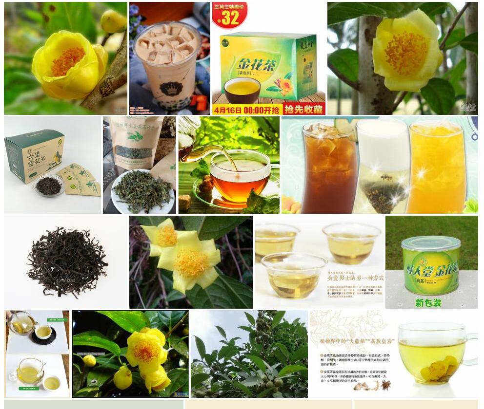 防城茶照片和图片/