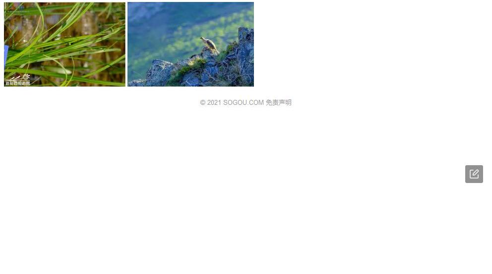 阿尔泰薹草照片和图片/